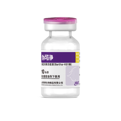 Pseudorabies Vaccine, Live (Strain Bartha-K61) - Baboy