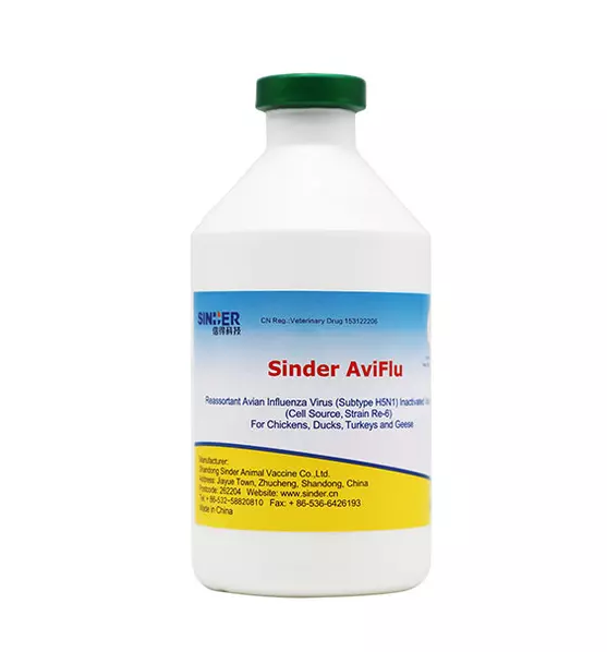 Protektahan ang Iyong Pamumuhunan sa Livestock sa Aming Subok at Subok na mga Bakuna