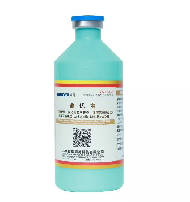 Sulit ba ang pagbabakuna ng mga manok?