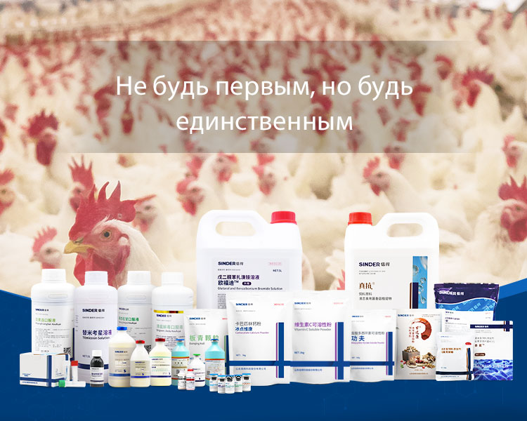 Ang Papel ng Medisina sa Pagpapanatili ng Kalusugan ng Hayop